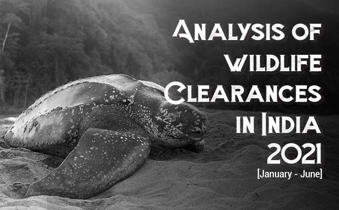 You are currently viewing Analysis of Wildlife Clearances in India, 2021 (January-June)