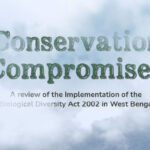 Conservation Compromised