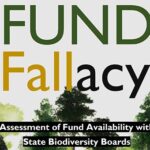 Fund Fallacy