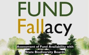 Read more about the article Fund Fallacy