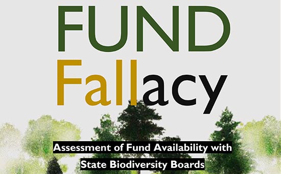 Fund Fallacy