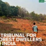 A TRIBUNAL FOR FOREST DWELLERS IN INDIA
