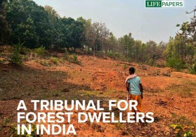 You are currently viewing A TRIBUNAL FOR FOREST DWELLERS IN INDIA